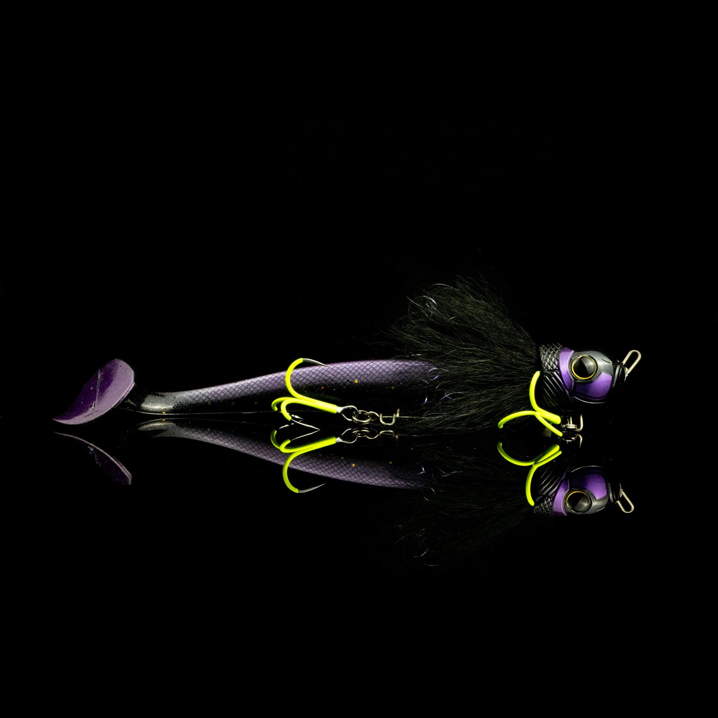 BlackBug Beetle