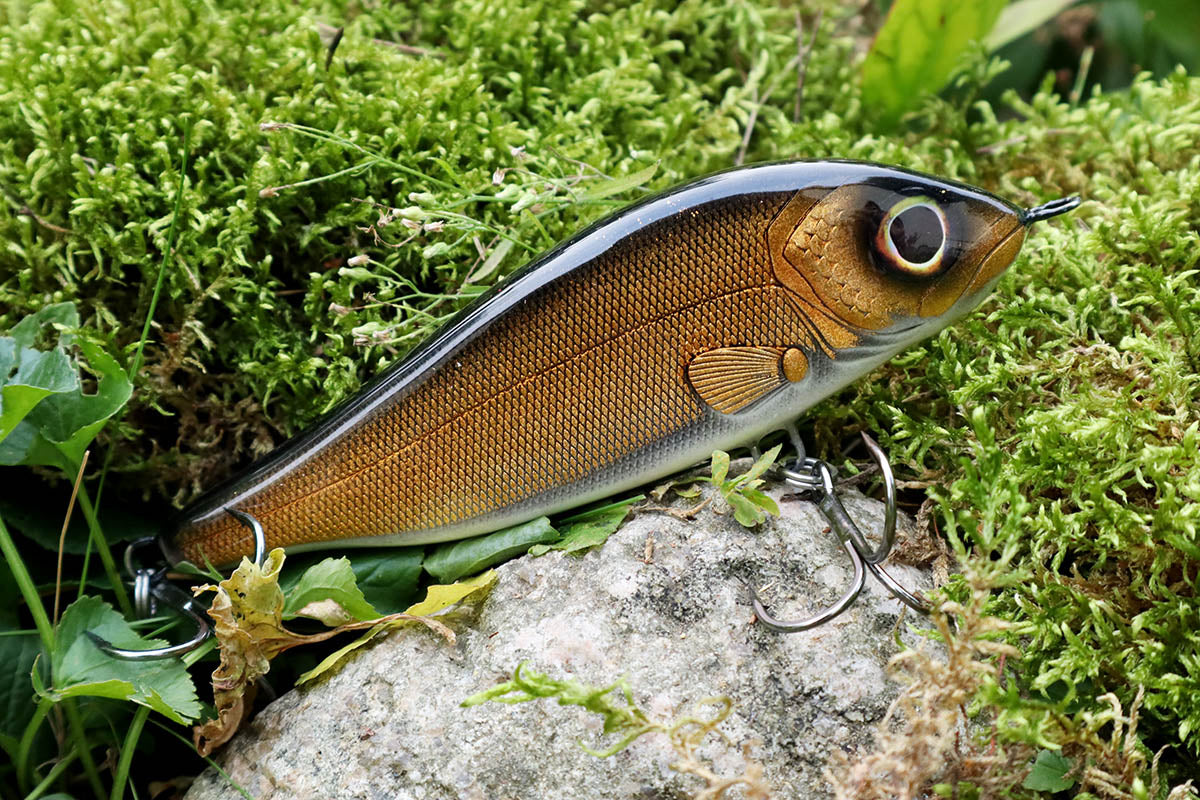 Champion 15cm