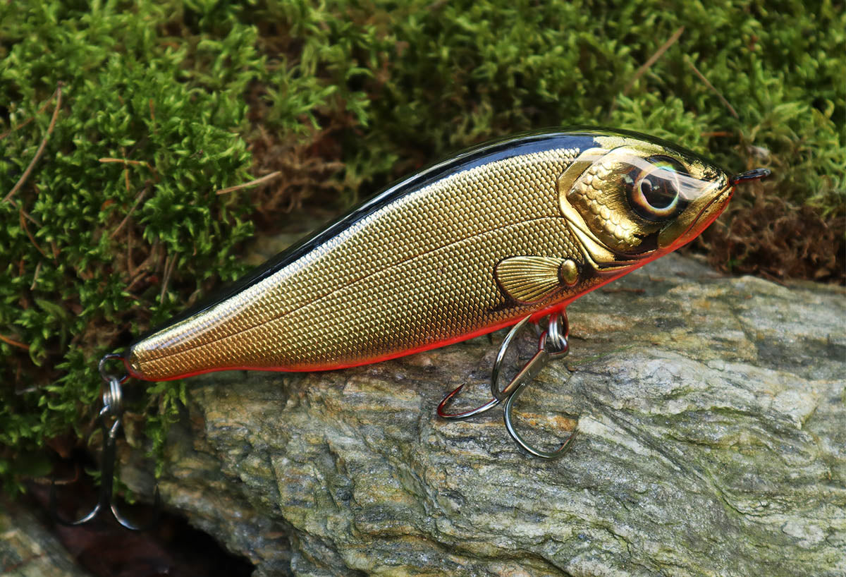 Champion 15cm